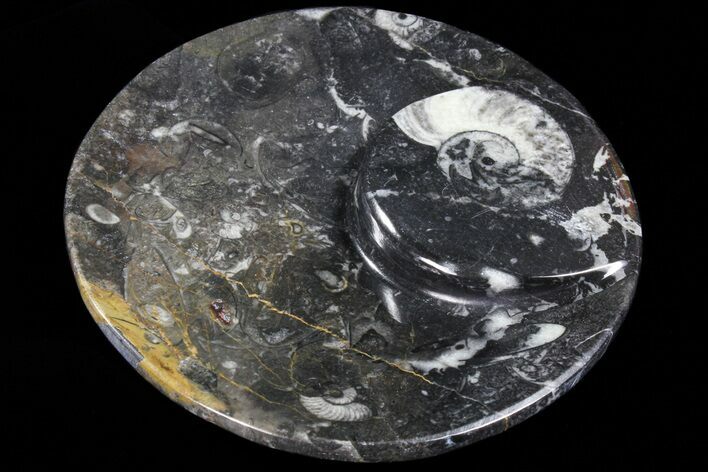 Round Fossil Goniatite Dish #73708
